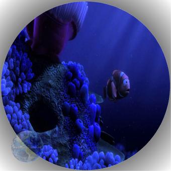 Tortenaufleger Fondant Findet Nemo 23 