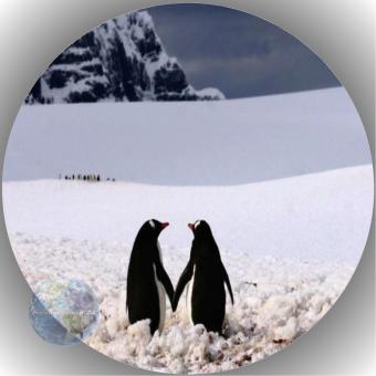 Tortenaufleger Fondant Pinguine 7 